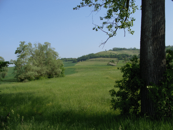Paesaggio primaverile