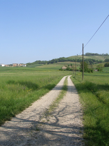 Verso le Cascine Coste