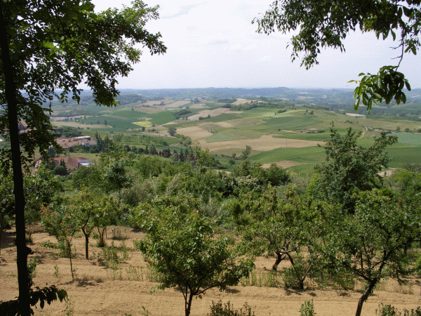 Paesaggio a Cardona
