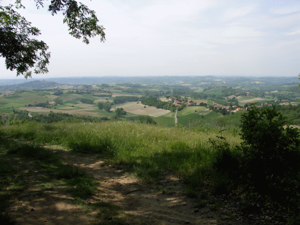 Le colline del Monferrato