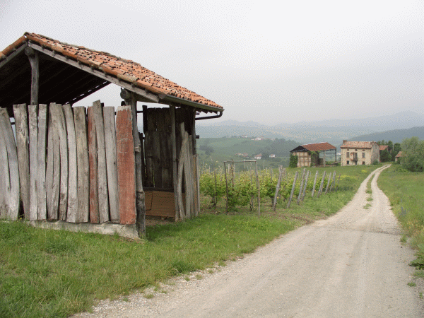 Il percorso nei pressi di Serra del Monte