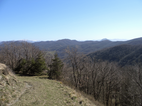 Panorama dalla Colla del Prete (mt.635)