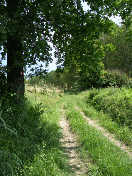 Salita verso il paese