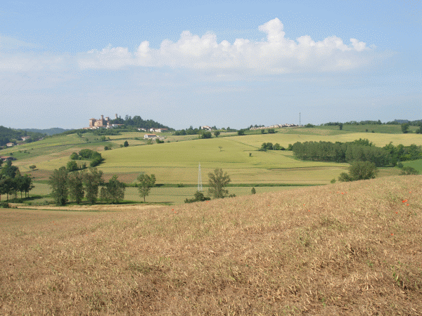 Il paesaggio