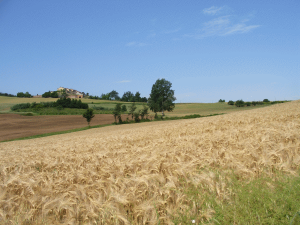 I colori della campagna 