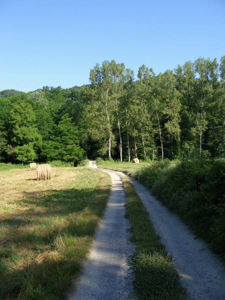 Il percorso all’uscita dal paese