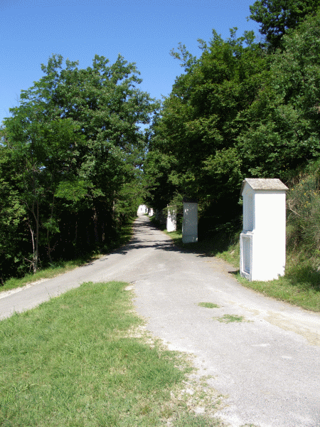 L’uscita dal bosco