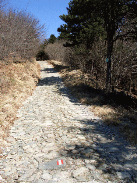 La strada lastricata verso il Monte Leco