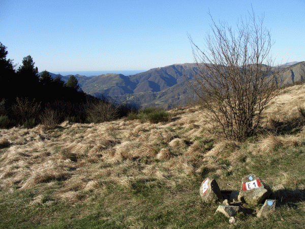 Le pendici del Monte Leco