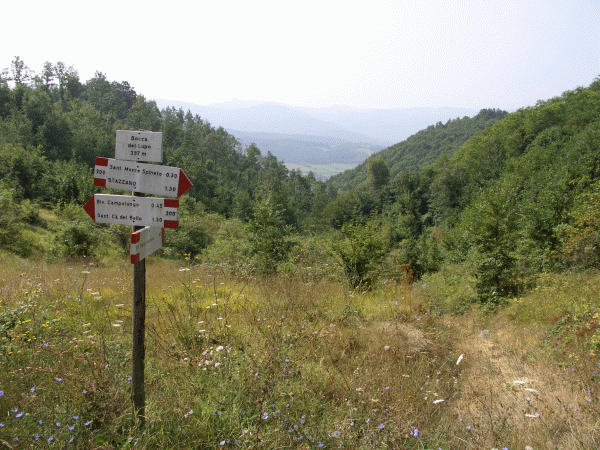 Bocca del Lupo (mt. 397)