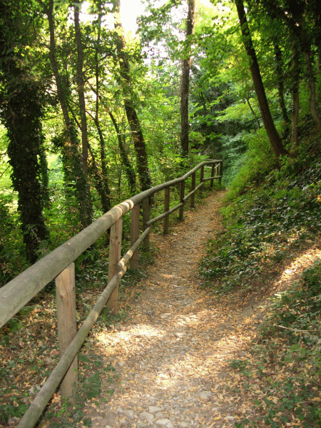 Discesa verso il torrente Borbera