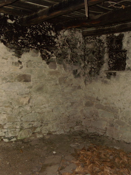 Interno dell’essiccatoio
