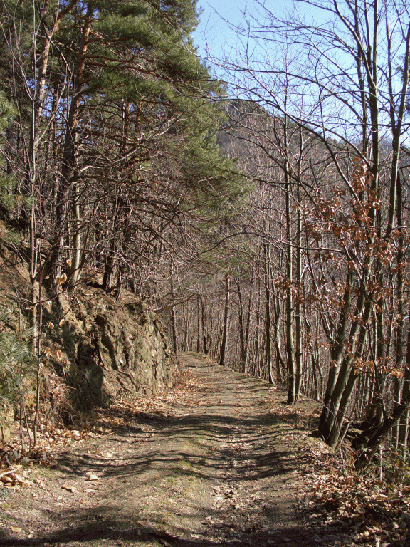 La chiesetta di San Martino