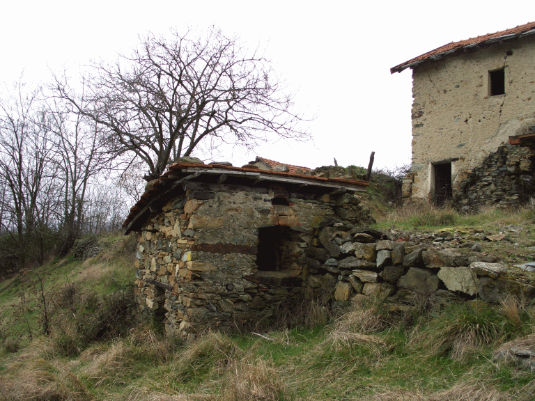 Il percorso nel bosco