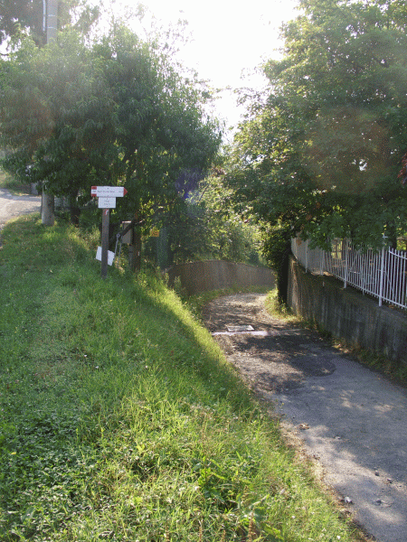 L’inizio del percorso