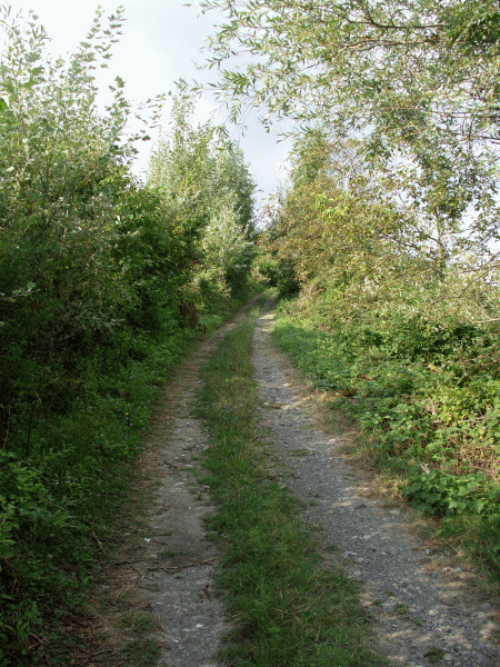 La carrareccia