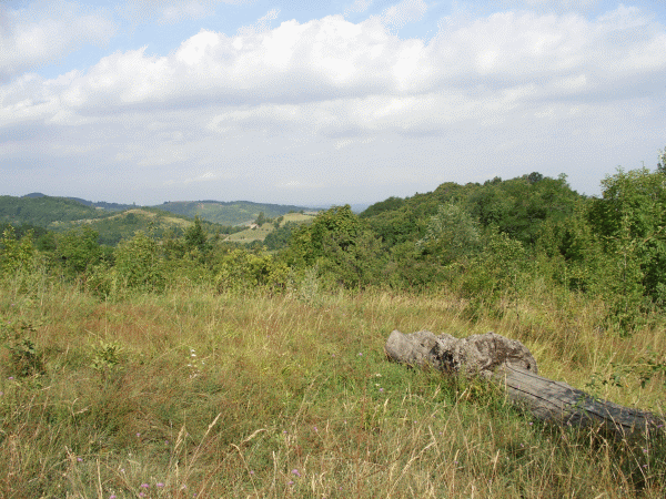 Panorama dal sentiero