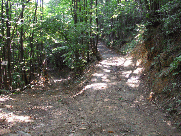 Arrivo al Bivio Campolungo (mt. 450)