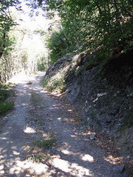 Affioramento roccioso sul percorso