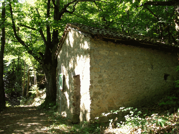 Abègu Apricusa