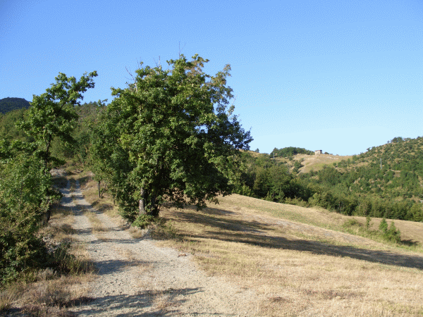 Il paesaggio