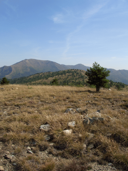 Veduta dal Monte Moro (mt.881)