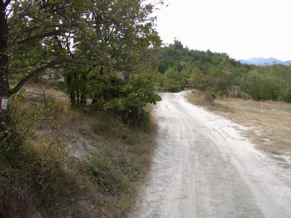 Un tratto del percorso