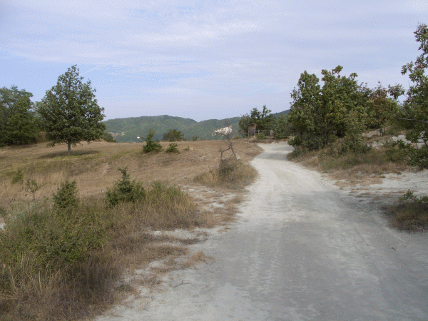 La radura