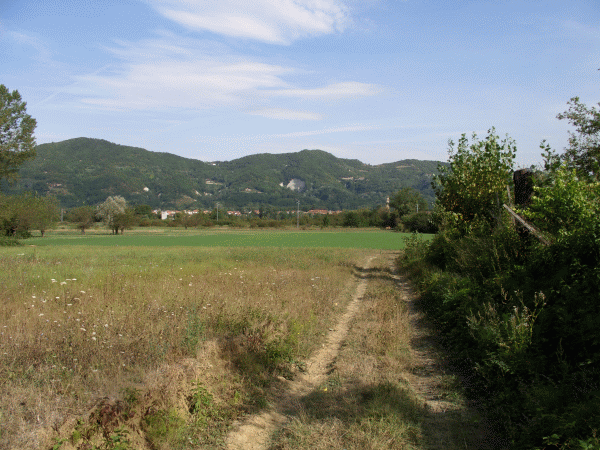 I campi coltivati