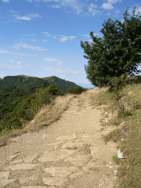 Il crinale