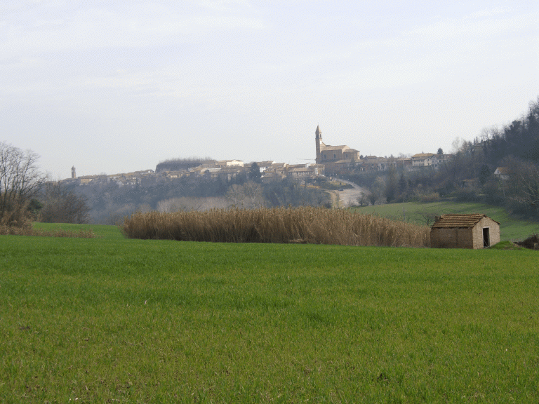 Un tratto del percorso