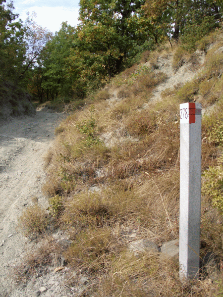 Picchetto segnavia