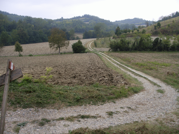 Il sentiero tra i campi coltivati