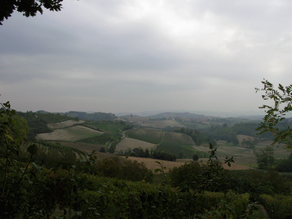 Paesaggio nei pressi Zenevreto