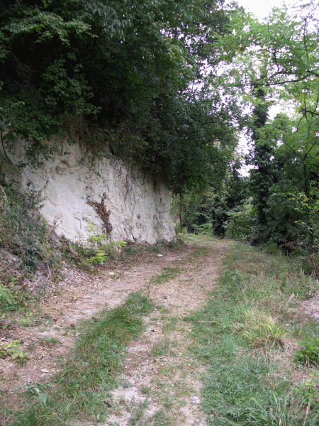 Affioramento calcareo