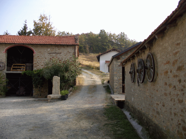 Attraversando l’aia di una cascina locale