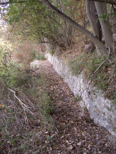 L’ultimo tratto nel bosco