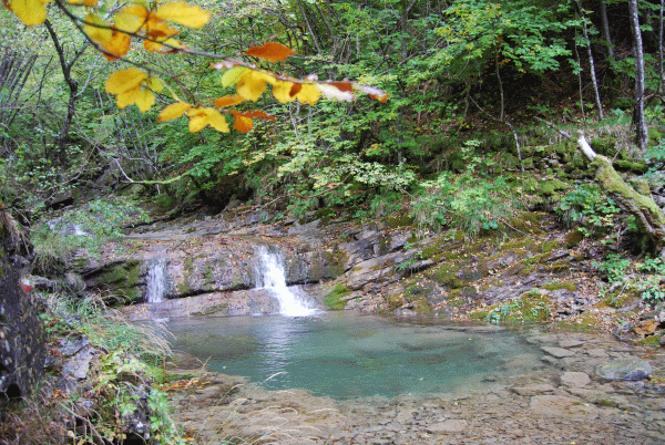 Il Rio Campassi