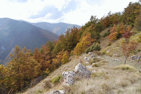 Panorama sulla valle dei Campassi