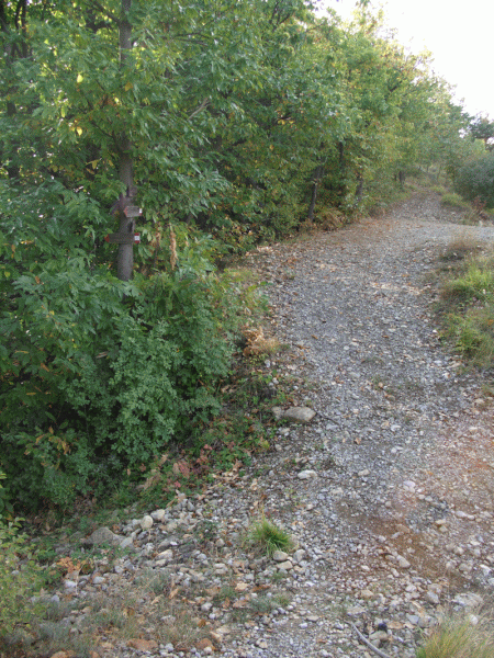 La Selletta Cravasana (mt. 815)