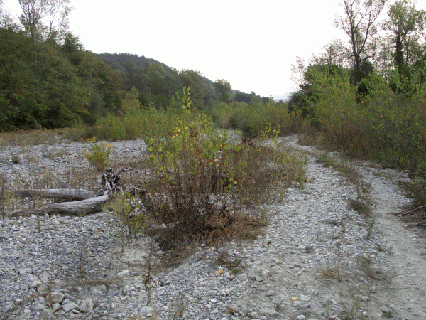 Il greto del Torrente Spinti