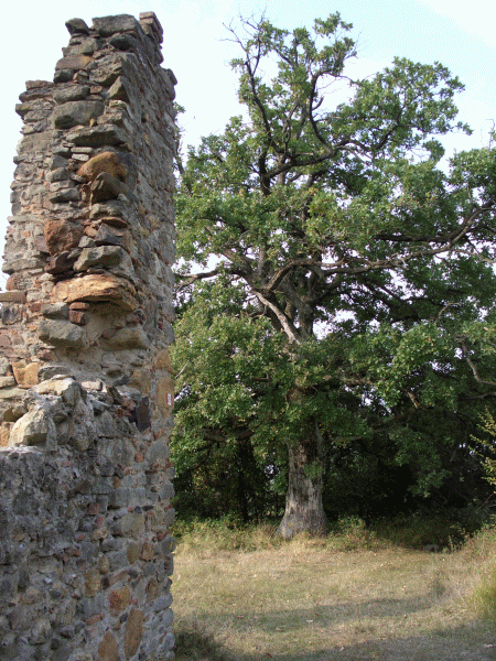 I ruderi della cascina